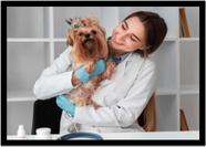 Quadro Decorativo Medicina Consultórios Veterinários Pet Shop Com Moldura RC038 Quadro Decorativo Medicina Consultórios Veterinários Pet Shop Com Moldura RC038