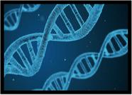 Quadro Decorativo Medicina DNA Biologia Corpo Humano Com Moldura RC016