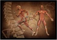Quadro Decorativo Medicina Fisiologia Músculos Corpo Humano Com Moldura RC044 Quadro Decorativo Medicina Fisiologia Músculos Corpo Humano Com Moldura RC044
