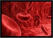 Quadro Decorativo Medicina Glóbulos Vermelhos 3D Consultórios Fisiologia Com Moldura RC011