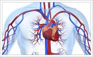 Quadro Decorativo Medicina Médicos Cardiologia Consultórios Decorações Salas Moldura Branca