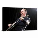 Quadro decorativo Metallica - Música - Tela em Tecido