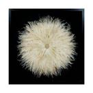 Quadro Decorativo Moderno Design Pluma Redonda Moldura Preta