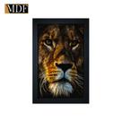 Quadro Decorativo Moldura Pintada Gel Leão 30x20 Mdf Adesivado