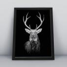 Quadro Decorativo Moldura Preta 30x40cm Cervo Animal