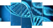 Quadro Decorativo Mosaico 5 Peças Dna Biologia Mdf