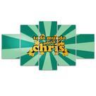 Quadro Decorativo Mosaico MDF Chris 115x60cm
