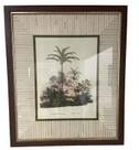 Quadro Decorativo Motivo Coqueiro moldura madeira vidro kit c/2