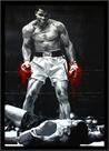 Quadro Decorativo Muhammad Ali Boxe Arte Moldura 42x29cm Quadro Decorativo Muhammad Ali Boxe Arte Moldura 42x29cm