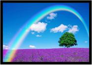 Quadro Decorativo Natureza Paisagem Arco-Íris Cores Campo Salas Quartos Escritório Com Moldura R098