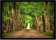 Quadro Decorativo Natureza Paisagem Bosque Primavera Salas Quartos Escritório Com Moldura R089