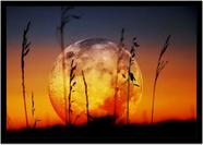 Quadro Decorativo Natureza Paisagem Lua Cheia Salas Quartos Escritório Com Moldura R016