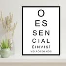 Quadro Decorativo O Essencial é Invisível Aos Olhos 45x34cm