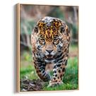 Quadro decorativo Onça Pintada
