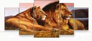 Quadro Decorativo Painel Família Leão Por Sol"