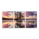 Quadro Decorativo Paisagem Árvore Lago Entardecer Quadro Decorativo Paisagem Árvore Lago Entardecer