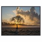 Quadro Decorativo Paisagem Árvore Sol 90x60 para Sala Quarto Quadro Decorativo Paisagem Árvore Sol 90x60 para Sala Quarto