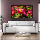 Quadro Decorativo Paisagem Flores Flor Salas Com Moldura 1 metro x 60 cm TT14