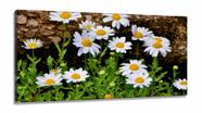 Quadro Decorativo Paisagem Flores Tela em Tecido Canvas 130x60 Quadro Decorativo Paisagem Flores Tela em Tecido Canvas 130x60