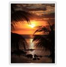 Quadro Decorativo Paisagem Palmeira Sol Mar para Sala Quarto
