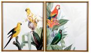 Quadro Decorativo Par - Aves Exóticas