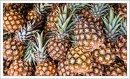 Quadro Decorativo Para Cozinhas Frutas Abacaxi Gourmet Mercados Decorar Moldura Branca Q01