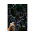 Quadro Decorativo Para Quartos Salas Variados Paisagens 06