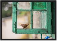 Quadro Decorativo Pássaro Aves Decoração Com Moldura