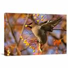 Quadro decorativo Pássaro Paisagem - Tela em Tecido