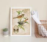 Quadro Decorativo Pássaros Vintage - Botânica 45x34cm - com vidro