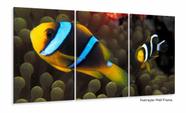 Quadro Decorativo Peixe Palhaço 120x60