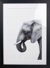 Quadro Decorativo Perfil Elefante Preto E Branco 60x45 Cm Quadro Decorativo Perfil Elefante Preto E Branco 60x45 Cm