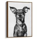 Quadro decorativo Pinscher - Art Canvas