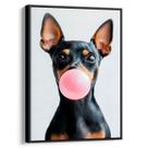 Quadro decorativo Pinscher Mascando Chiclete - Art Canvas