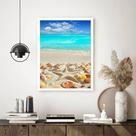 Quadro Decorativo Praia Estrela Conchas - 70x50cm