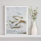 Quadro Decorativo Praia Foto Âncora 24x18cm