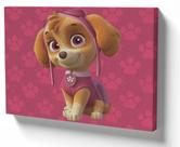Quadro Decorativo Premium Tela 50x70 patrulha canina skye patas rosas Quadro Decorativo Premium Tela 50x70 patrulha canina skye patas rosas