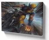 Quadro Decorativo Premium Tela 50x70 wolverine moto