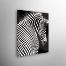 Quadro Decorativo Preto E Branco Zebra
