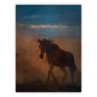 Quadro decorativo PVC Country 30x40cm