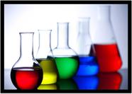 Quadro Decorativo Química Física Laboratórios Vidrarias Erlenmeyer Balão Com Moldura RC030