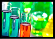Quadro Decorativo Química Física Laboratórios Vidrarias Erlenmeyer Balão Com Moldura RC031
