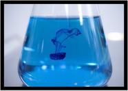 Quadro Decorativo Química Laboratórios Vidraria Erlenmeyer Com Moldura RC025