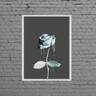 Quadro Decorativo Rosa De Tinta Azul 33x24cm Quadro Decorativo Rosa De Tinta Azul 33x24cm