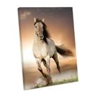 Quadro Decorativo sala Cavalo Correndo 60x40 Quadro Quarto Hall Cozinha Quadro Decorativo sala Cavalo Correndo 60x40 Quadro Quarto Hall Cozinha