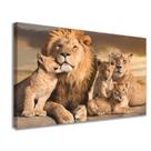 Quadro Decorativo Sala Família Leão Grande Cores Vivas Realista