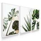 Quadro Decorativo Sala Quarto Costela de Adão Plantas Quadro Decorativo Sala Quarto Costela de Adão Plantas