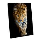 Quadro Decorativo sala quarto onça Foco 60x40 Quadro Quarto Hall Cozinha