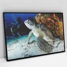 Quadro Decorativo Tartaruga em tela Canvas