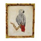 Quadro Decorativo Tela de Pássaro Cinza Moldura Bambu 67x58cm